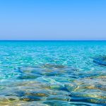 Voyage pas cher : vous cherchez un service de qualité ?